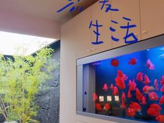 -宫七SPA·高端Massage(浦东大道店)