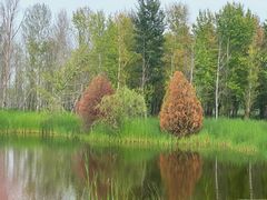 -野鸭湖国家湿地公园