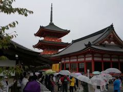 -有栖山 清光院 清水寺
