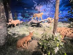 -国家自然博物馆