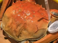 清蒸大闸蟹-蝶园·装修中(BFC外滩金融中心店)