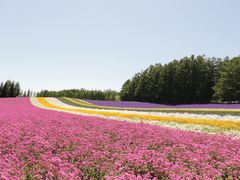 -富田农场