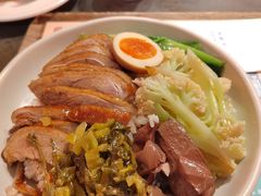 金奖卤鹅肉饭-陈鹏鹏潮汕菜(宝安机场T3航站楼店)