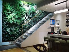 -Peet's Coffee皮爷咖啡(大学路店)