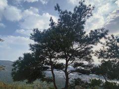 -虞山风景区