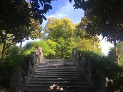 -广州神农草堂中医药博物馆