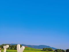 -光明小镇欢乐田园