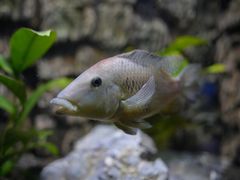-上海海洋水族馆