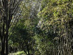 -法云古村