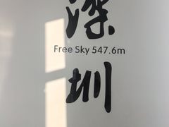 -平安金融中心云际观光层