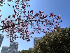 -南京眼步行桥
