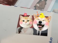 -天真蓝照相馆(龙岗万科里店)