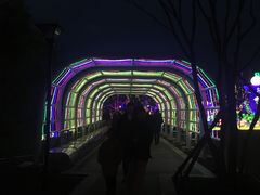 -祥源·阜阳生态乐园