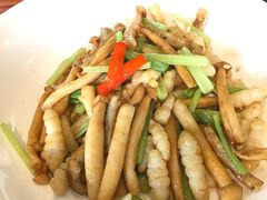 -顺德了能馆(虎门店)