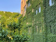 -北京航空航天大学-图书馆