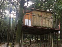 -象山森林公园