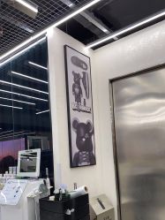 -东瀛造型