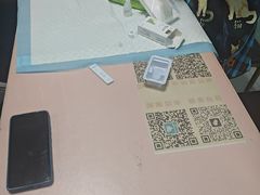 -嘉馨宠物医院·CT影像转诊·心脏科·犬猫全科诊疗中心(下沙大学城院区)
