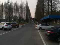 -茅山风味馆