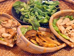 -滇野云南野生菌餐厅(陕西南路店)