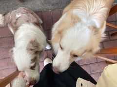 -豆舞咖啡(民乐路店)