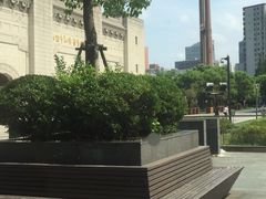 -江湾体育中心游泳馆