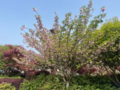 -宜兴龙背山森林公园
