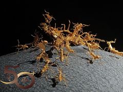 -深圳珠宝博物馆