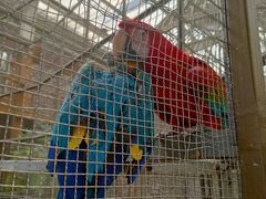 -南宫五洲植物乐园