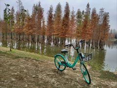 -白鹭湾湿地公园