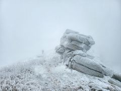 -秦岭风景区