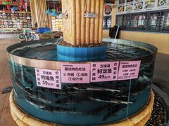 -年辉渔村