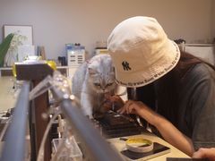 -Oasis绿洲银饰珍珠手作diy(壹方城店)