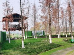-长田漾湿地公园