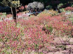 -广州市白云山风景名胜区