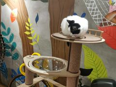 -么么咖啡(燕郊店)