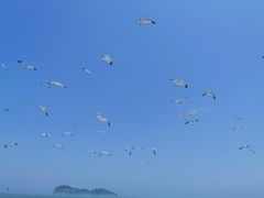 -海驴岛(荣成市)