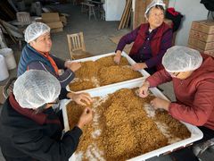 -苏州市吴中区光福窑上花果蜜饯厂