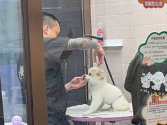-FAELING PETS美天灵宠物(富力广场店)