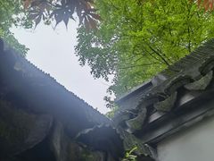 -上海醉白池公园