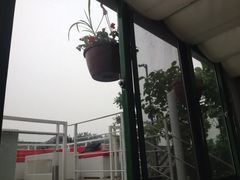 二楼露台-EATALIA意塔利意式餐厅(鼓楼店)