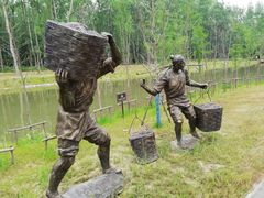 -合肥滨湖国家森林公园