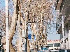 -武昌中华路码头(轮渡站)