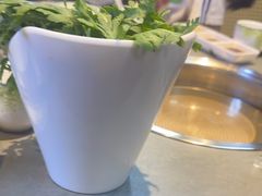 -萧邦音乐会所KTV(向西店)