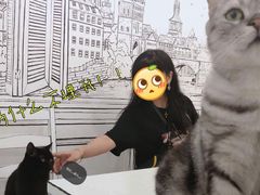 -白夜2D咖啡馆