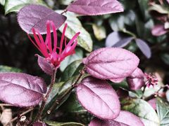 -千岛湖东南湖区