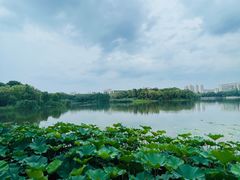 -江南大学(蠡湖校区)