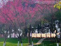 -秀丽东方