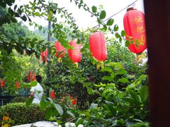 -枇杷园食为鲜火锅(南山店)
