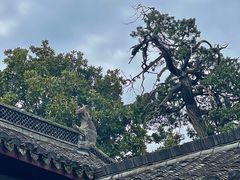 -太平天国侍王府